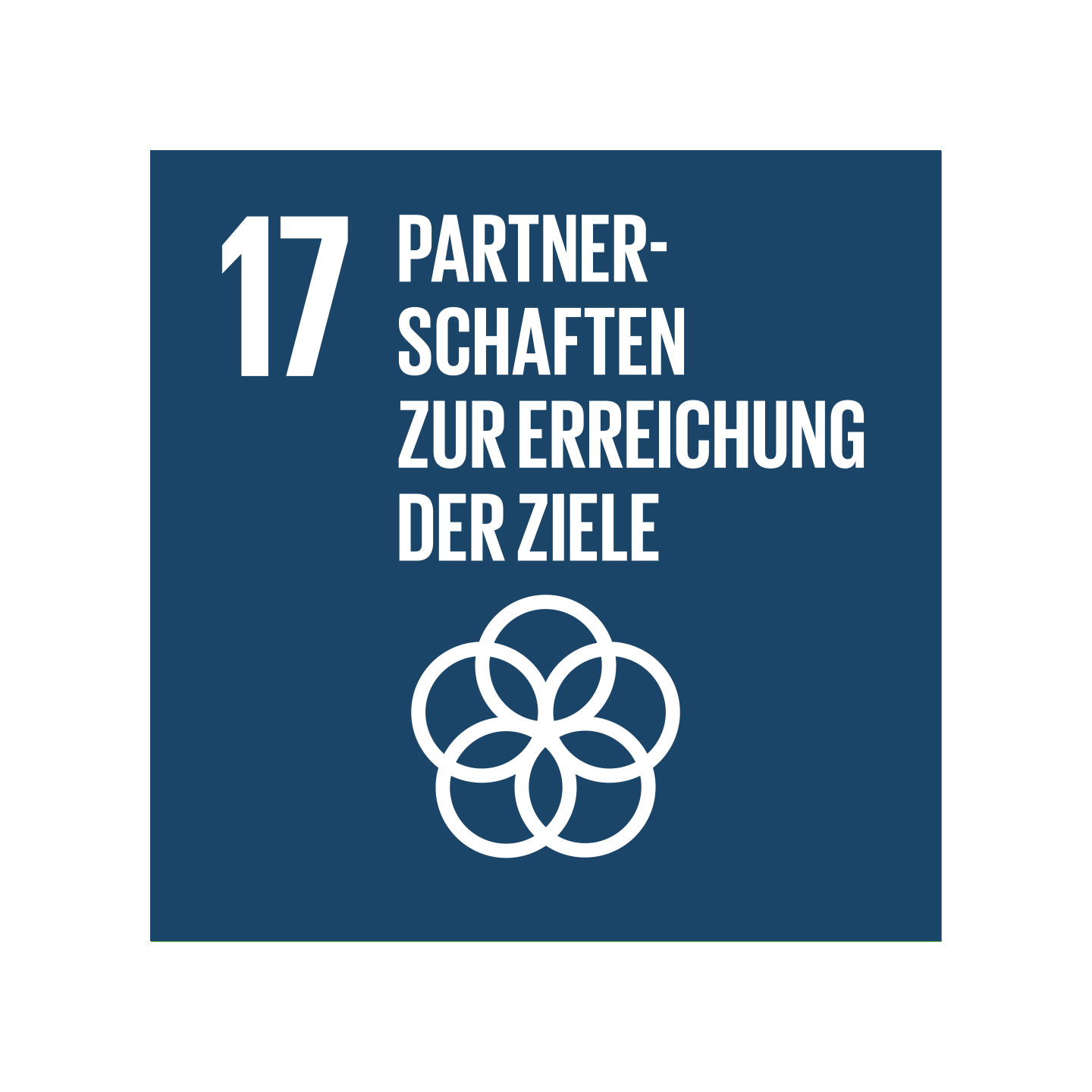 Grafik Nachhaltigkeitsziel Partnerschaften